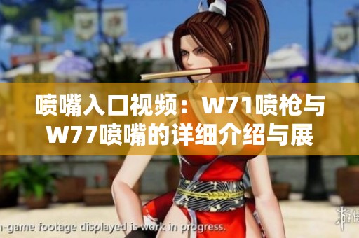 喷嘴入口视频：W71喷枪与W77喷嘴的详细介绍与展示