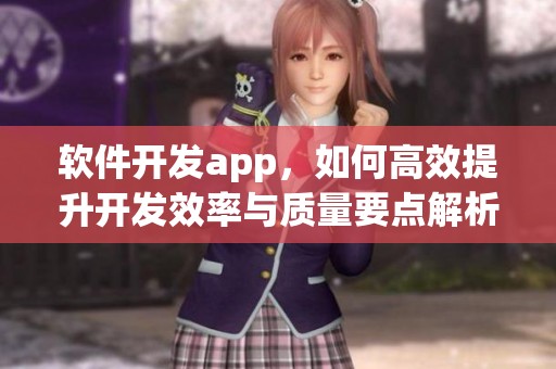 软件开发app，如何高效提升开发效率与质量要点解析