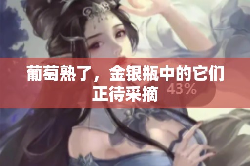 葡萄熟了，金银瓶中的它们正待采摘