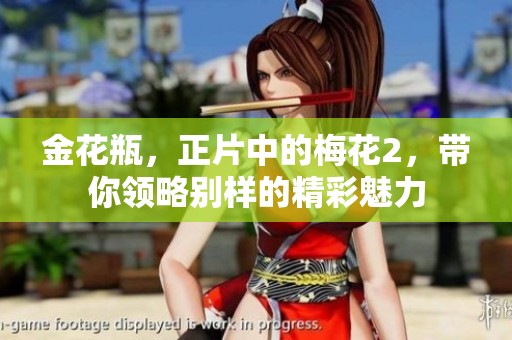 金花瓶，正片中的梅花2，带你领略别样的精彩魅力