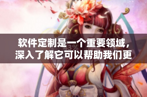 软件定制是一个重要领域，深入了解它可以帮助我们更好地满足需求