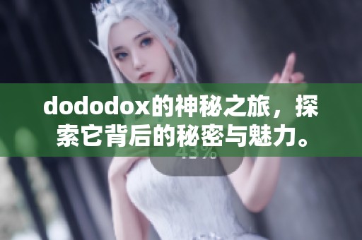 dododox的神秘之旅，探索它背后的秘密与魅力。