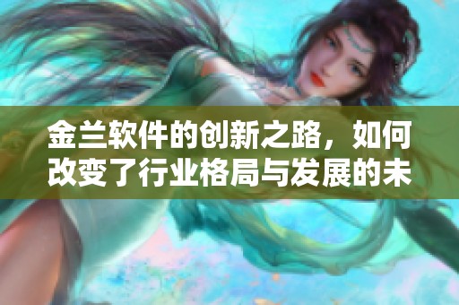 金兰软件的创新之路，如何改变了行业格局与发展的未来方向