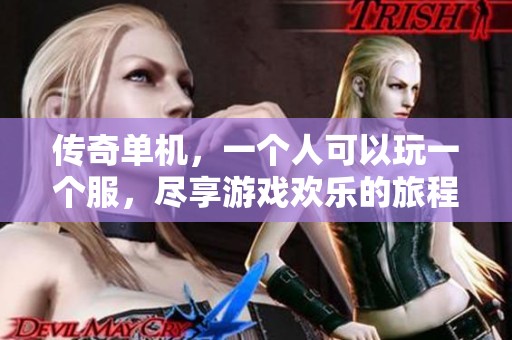 传奇单机，一个人可以玩一个服，尽享游戏欢乐的旅程。