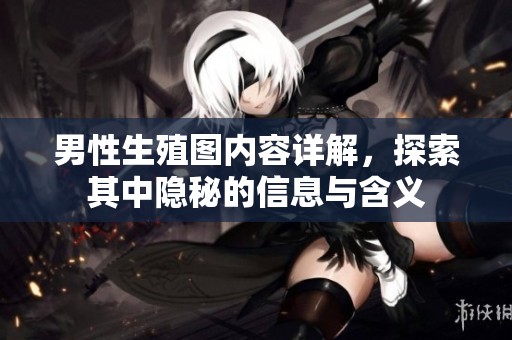 男性生殖图内容详解，探索其中隐秘的信息与含义