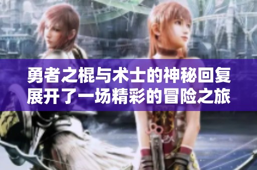 勇者之棍与术士的神秘回复展开了一场精彩的冒险之旅