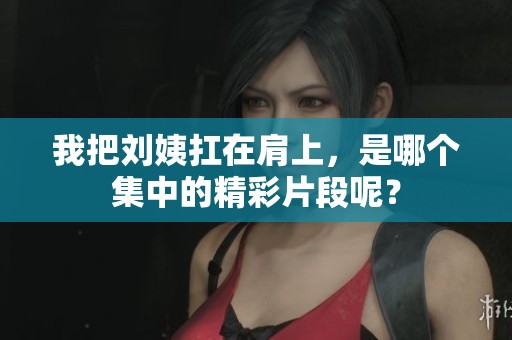 我把刘姨扛在肩上，是哪个集中的精彩片段呢？