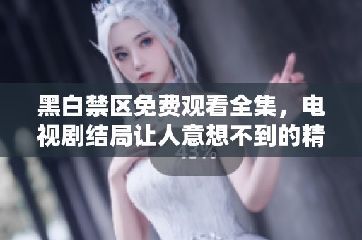 黑白禁区免费观看全集，电视剧结局让人意想不到的精彩。