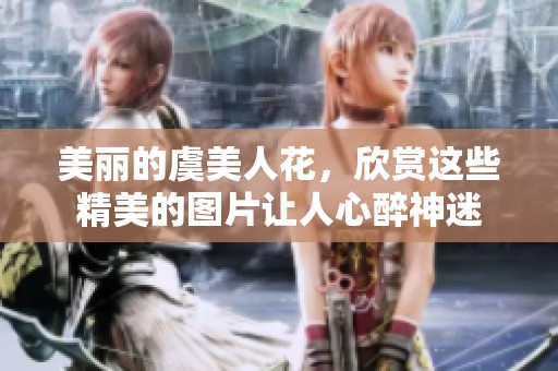 美丽的虞美人花，欣赏这些精美的图片让人心醉神迷