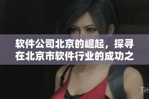 软件公司北京的崛起，探寻在北京市软件行业的成功之道