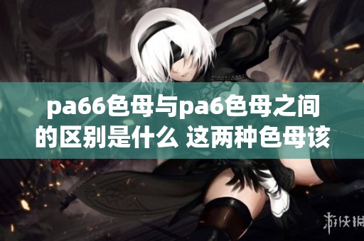 pa66色母与pa6色母之间的区别是什么 这两种色母该如何正确读音呢