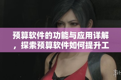 预算软件的功能与应用详解，探索预算软件如何提升工作效率与管理效果