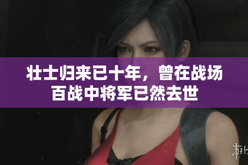 壮士归来已十年，曾在战场百战中将军已然去世