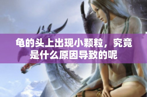 龟的头上出现小颗粒，究竟是什么原因导致的呢