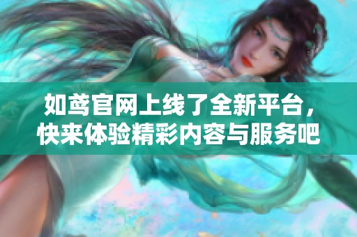 如鸢官网上线了全新平台，快来体验精彩内容与服务吧