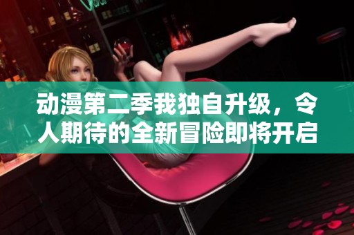 动漫第二季我独自升级，令人期待的全新冒险即将开启！