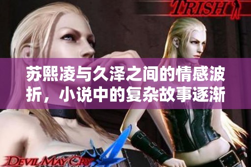 苏熙凌与久泽之间的情感波折，小说中的复杂故事逐渐展开