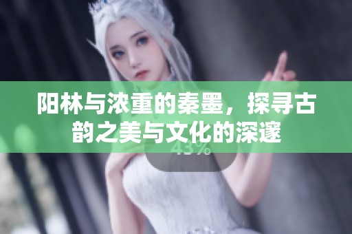 阳林与浓重的秦墨，探寻古韵之美与文化的深邃