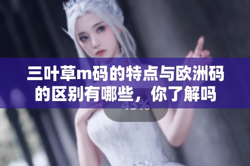 三叶草m码的特点与欧洲码的区别有哪些，你了解吗