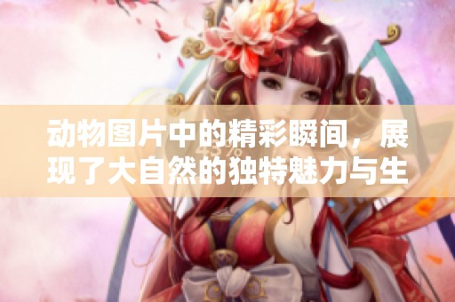 动物图片中的精彩瞬间，展现了大自然的独特魅力与生命的多样性