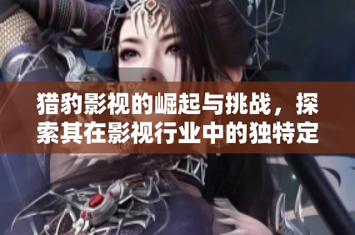猎豹影视的崛起与挑战，探索其在影视行业中的独特定位与发展路径