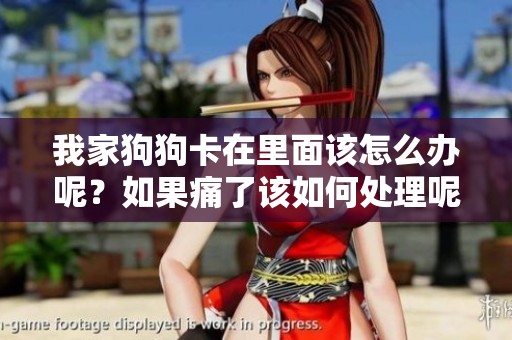 我家狗狗卡在里面该怎么办呢？如果痛了该如何处理呢？