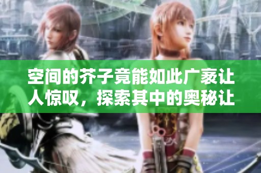 空间的芥子竟能如此广袤让人惊叹，探索其中的奥秘让人心醉神迷
