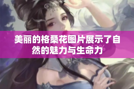 美丽的格桑花图片展示了自然的魅力与生命力