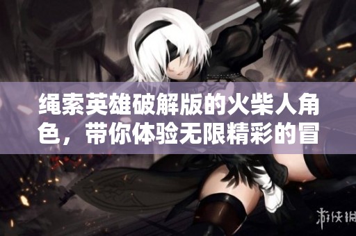 绳索英雄破解版的火柴人角色，带你体验无限精彩的冒险之旅