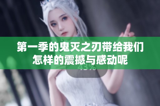 第一季的鬼灭之刃带给我们怎样的震撼与感动呢