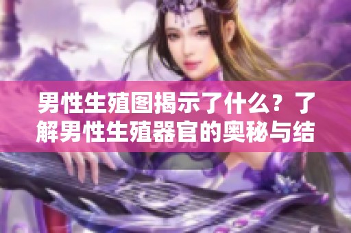 男性生殖图揭示了什么？了解男性生殖器官的奥秘与结构。