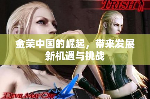 金荣中国的崛起，带来发展新机遇与挑战