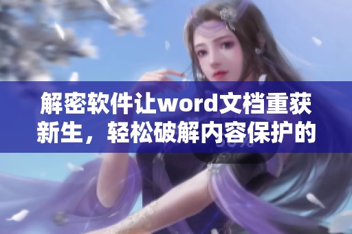 解密软件让word文档重获新生，轻松破解内容保护的高效工具