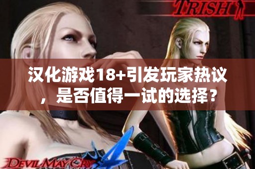 汉化游戏18+引发玩家热议，是否值得一试的选择？