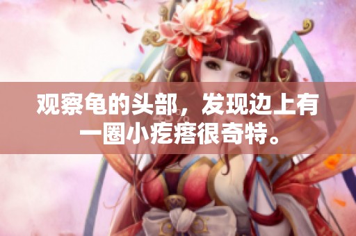 观察龟的头部，发现边上有一圈小疙瘩很奇特。