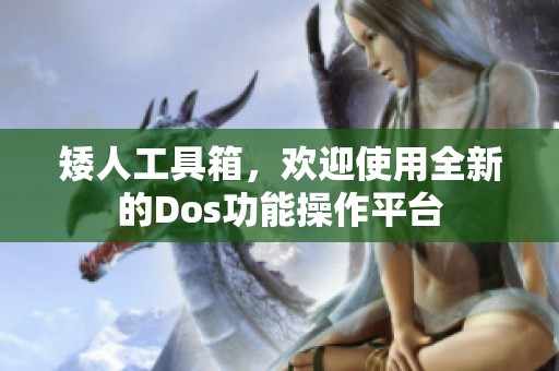 矮人工具箱，欢迎使用全新的Dos功能操作平台