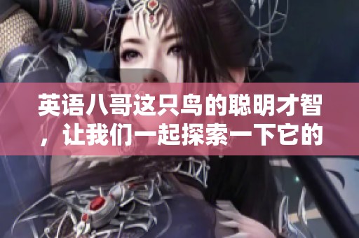 英语八哥这只鸟的聪明才智，让我们一起探索一下它的奥秘吧