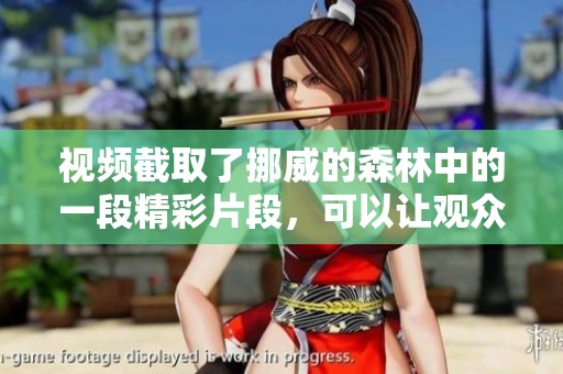 视频截取了挪威的森林中的一段精彩片段，可以让观众沉浸其中