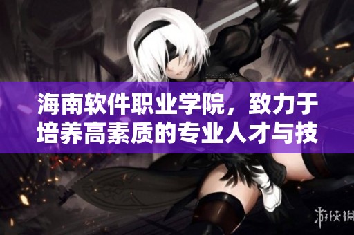 海南软件职业学院，致力于培养高素质的专业人才与技术精英