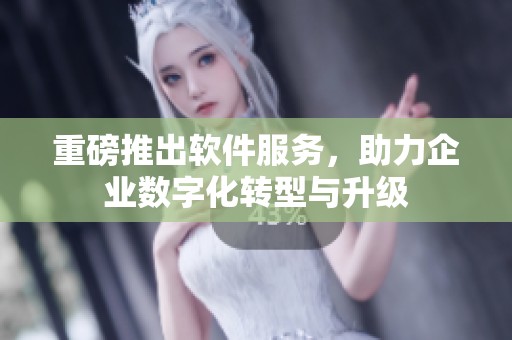 重磅推出软件服务，助力企业数字化转型与升级