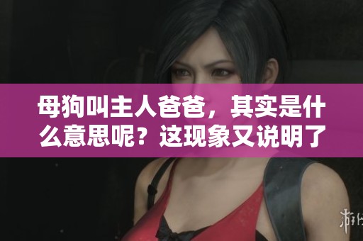 母狗叫主人爸爸，其实是什么意思呢？这现象又说明了什么呢？