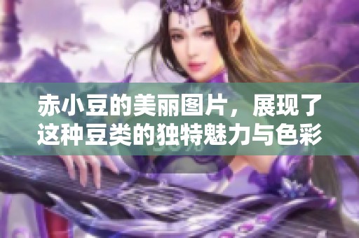 赤小豆的美丽图片，展现了这种豆类的独特魅力与色彩。