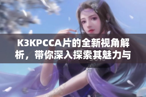 K3KPCCA片的全新视角解析，带你深入探索其魅力与特点