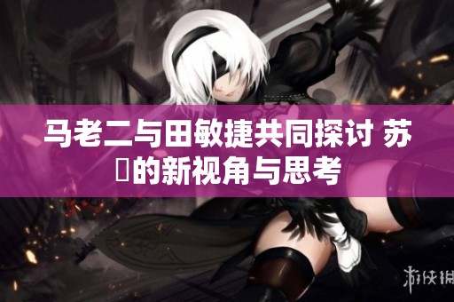 马老二与田敏捷共同探讨 苏玥的新视角与思考