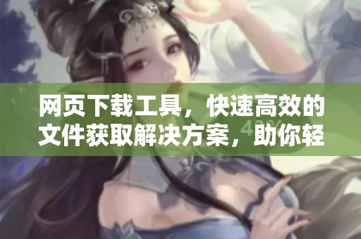 网页下载工具，快速高效的文件获取解决方案，助你轻松完成下载任务