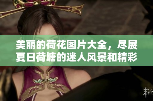 美丽的荷花图片大全，尽展夏日荷塘的迷人风景和精彩瞬间
