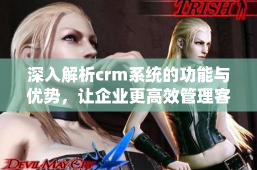 深入解析crm系统的功能与优势，让企业更高效管理客户关系