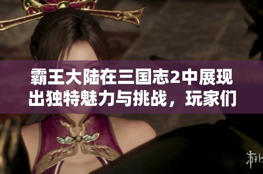 霸王大陆在三国志2中展现出独特魅力与挑战，玩家们快来体验！