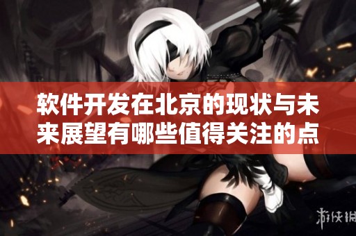软件开发在北京的现状与未来展望有哪些值得关注的点？