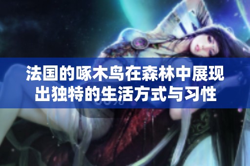 法国的啄木鸟在森林中展现出独特的生活方式与习性